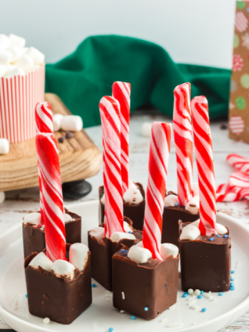 side view of squares of chocolate with marshmallows on top and a candy cane stick