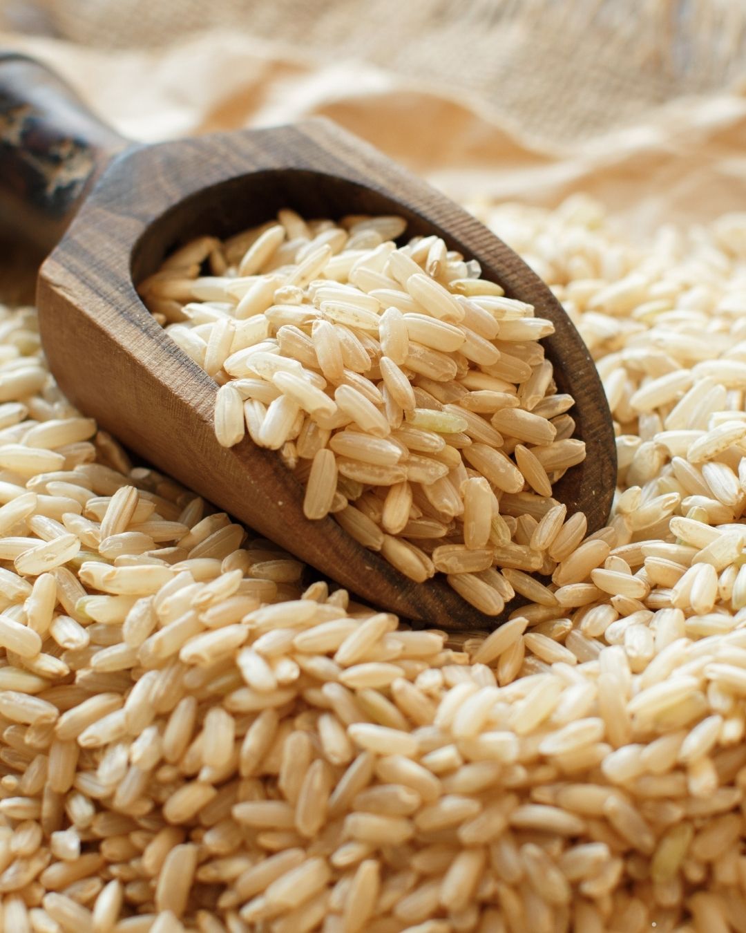 a brown scoop with raw brown rice in it